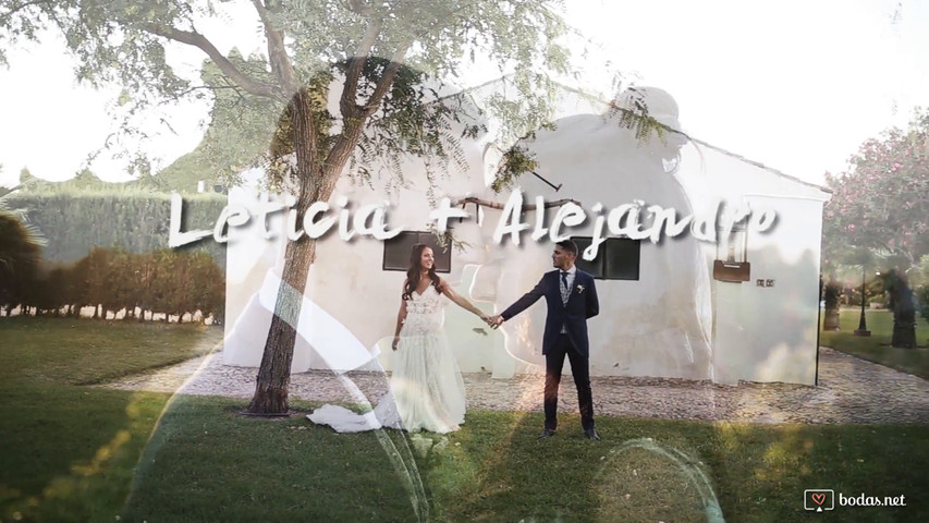 Highlights L&A