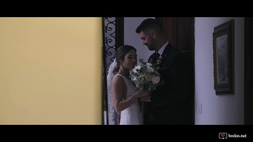Amar para siempre resumen noelia daniel 