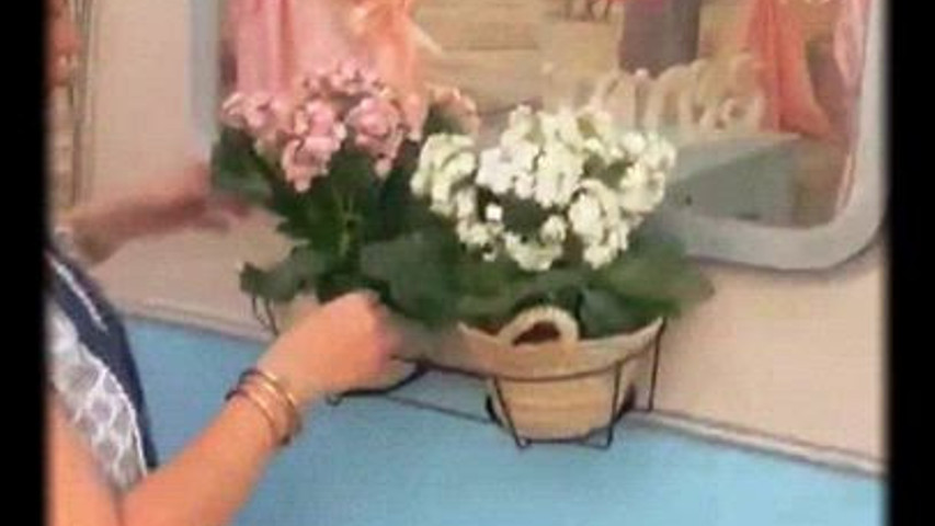 Montaje de nuestra pequeña 