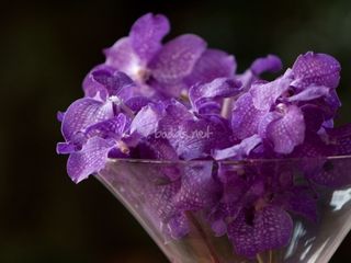 Ideas para una boda en morado