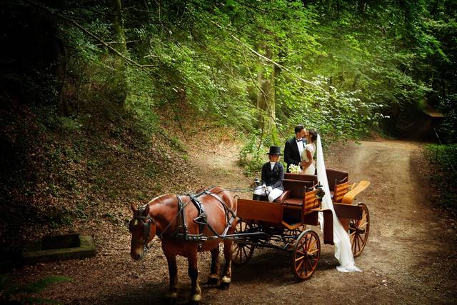 La boda de Evelyn y Cristian 1