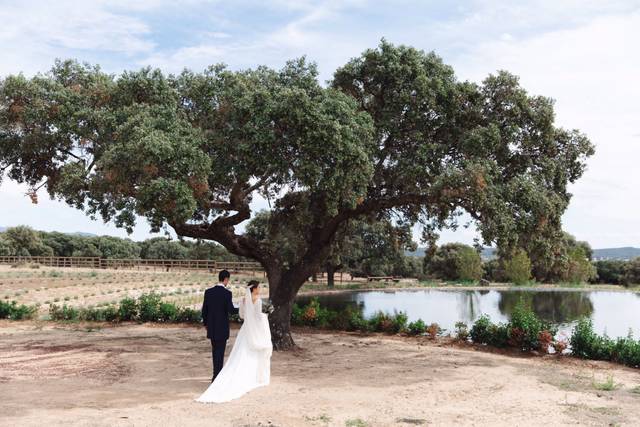 La boda de Jesús y Elena 1