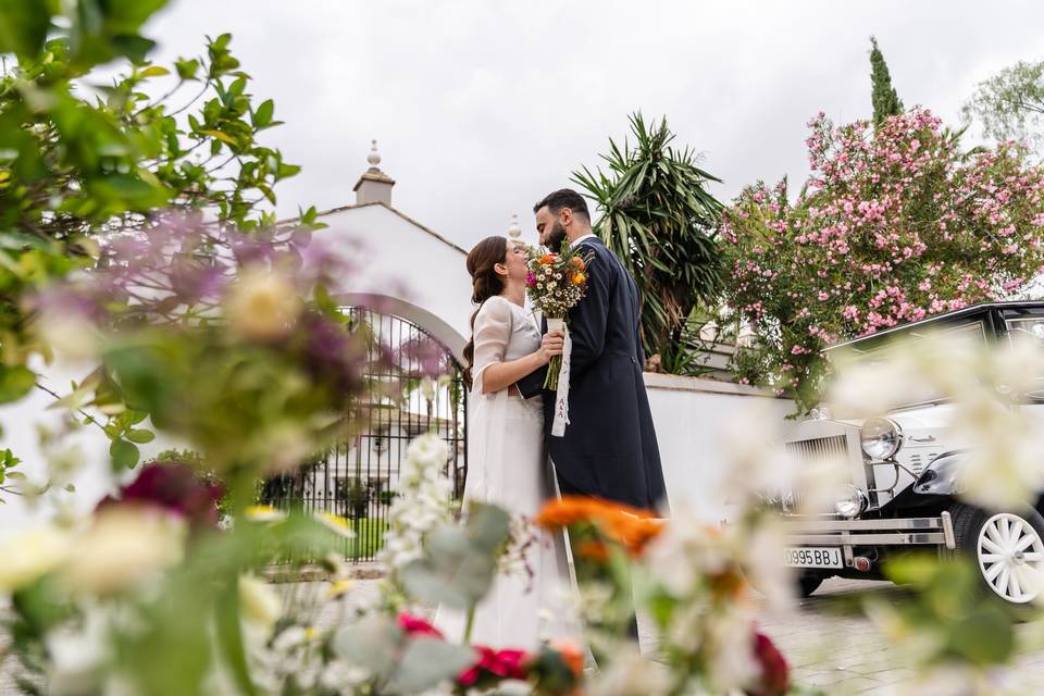 La boda de Ana y Alfonso