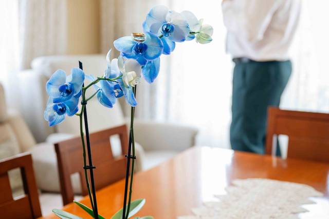 La boda de Claudia y David 1