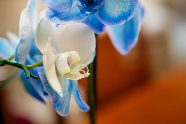 La boda de Claudia y David 2