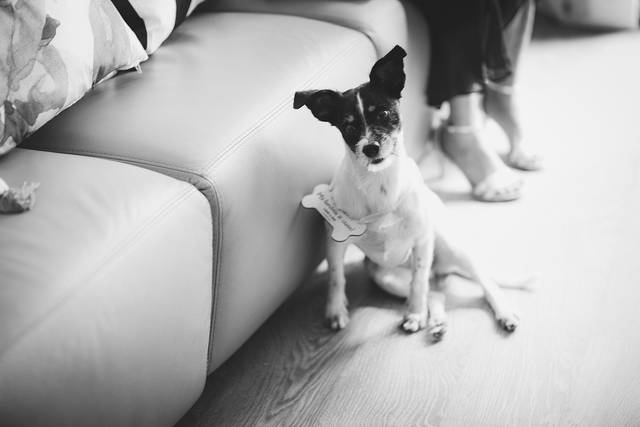 La boda de Laura y Kiko 3