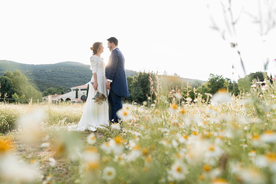 La boda de Elena y David