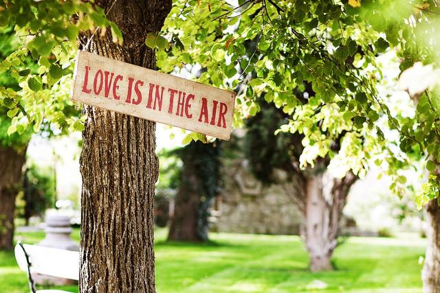 La boda de Clara y Antonio 1