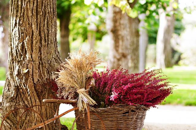 La boda de Clara y Antonio 2