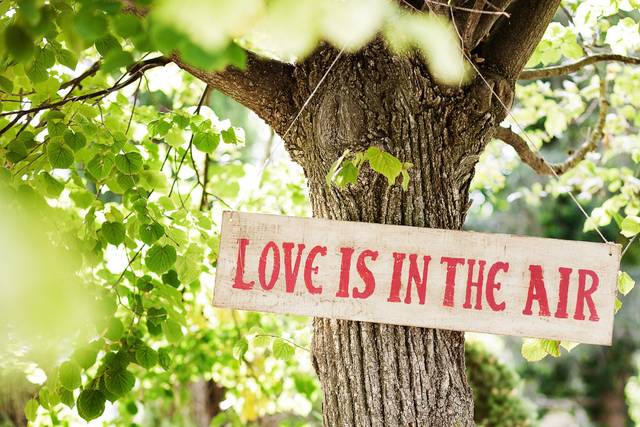 La boda de Clara y Antonio 3