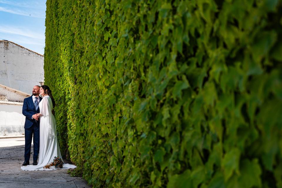 La boda de Elena y Luis
