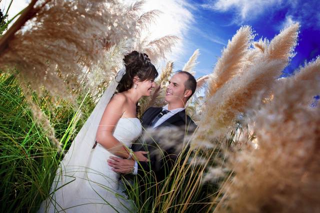 La boda de Vanesa y José Ángel 1