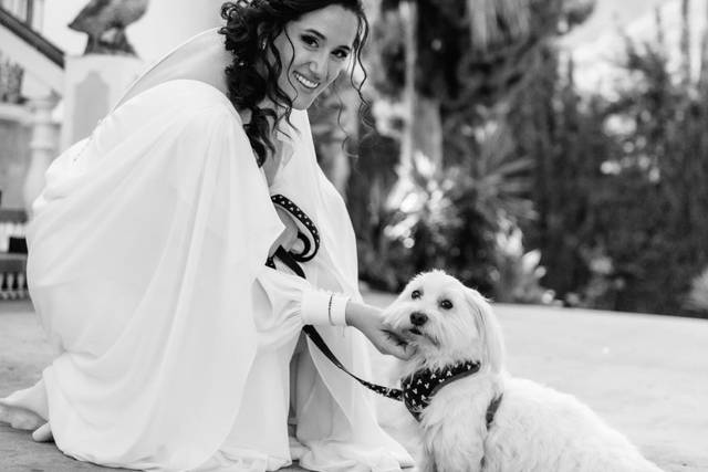 La boda de Carolina y Raúl  1