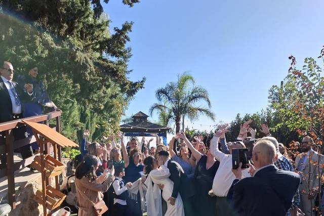 La boda de Carolina y Raúl  3