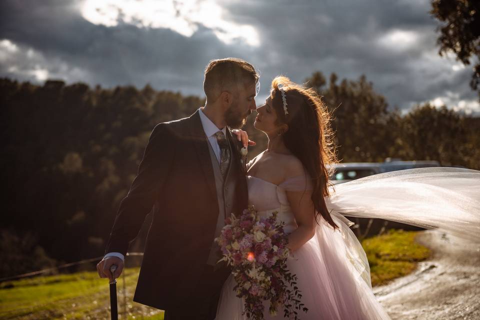 La boda de Dánae y Tomás