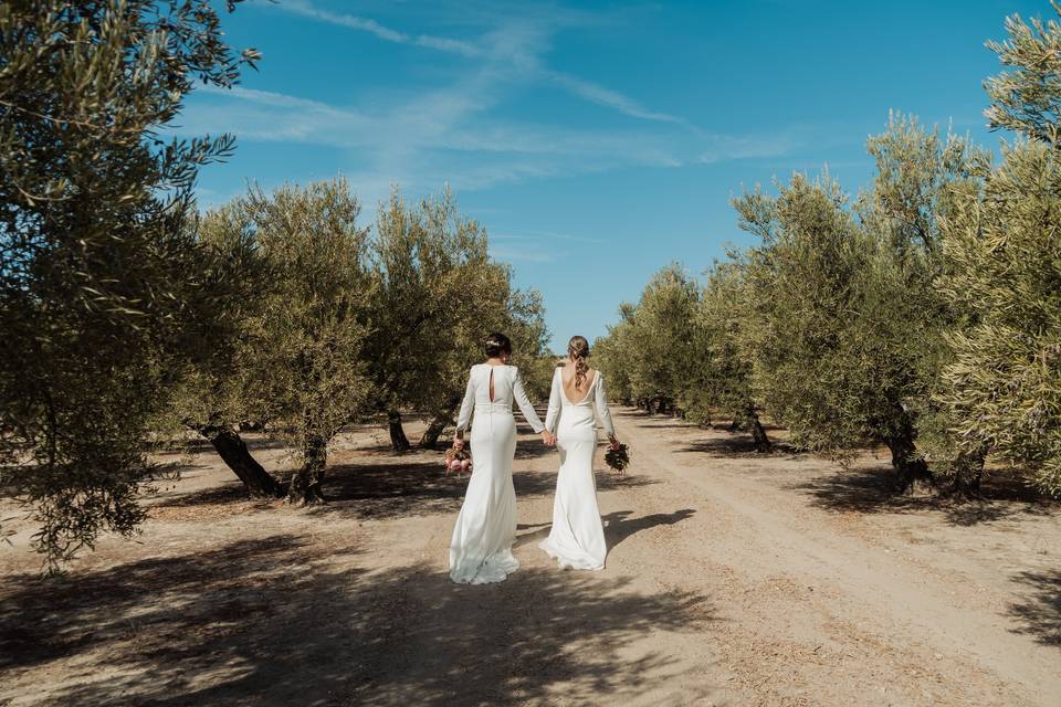 La boda de Tamara y Alex