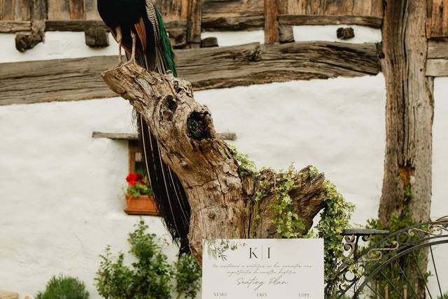 La boda de Iraide y Kevin 1