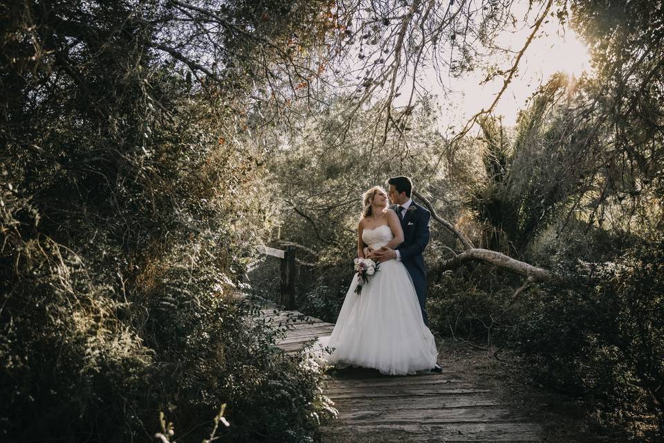 La boda de Abigail y Josue
