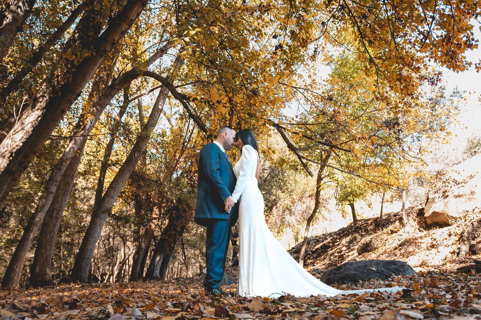 La boda de Pamela y Roge