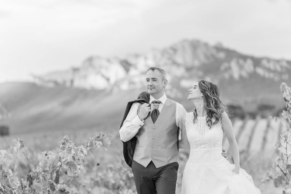 La boda de Luis y Laura
