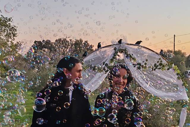 La boda de Angélica  y Nicolás  1