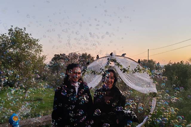 La boda de Angélica  y Nicolás  3
