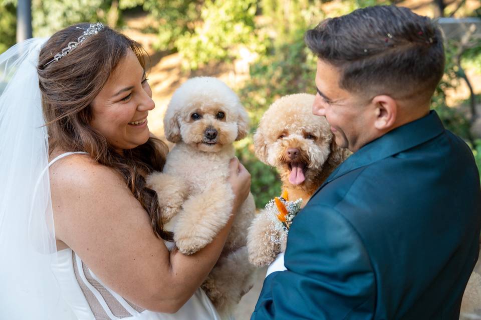 La boda de Queren y Cristian