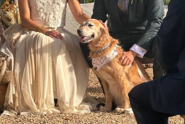 La boda de Marta y Fran 3