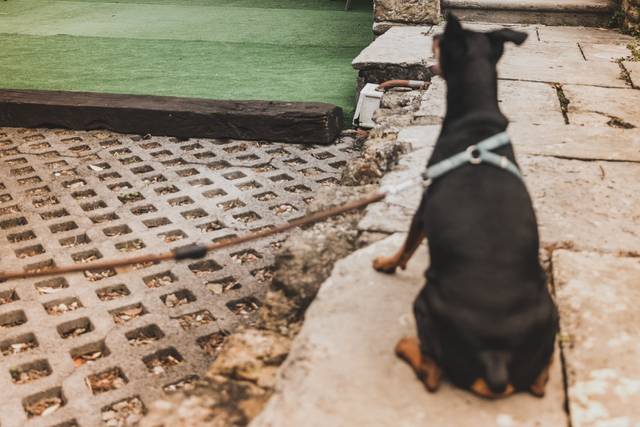 La boda de Tania y Asier 2