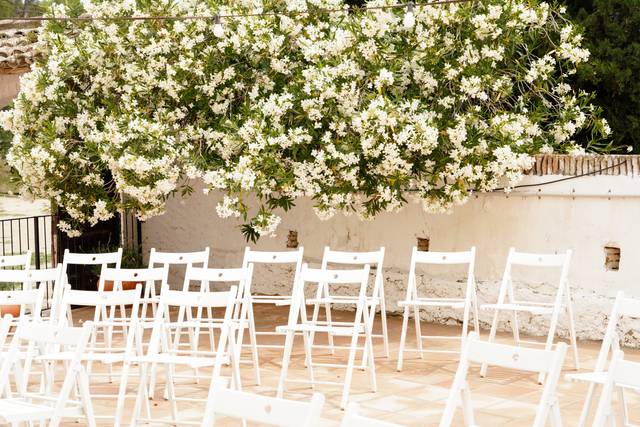 La boda de Álex y Sara 3