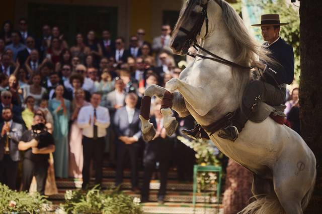 La boda de Hanna y Iván 2