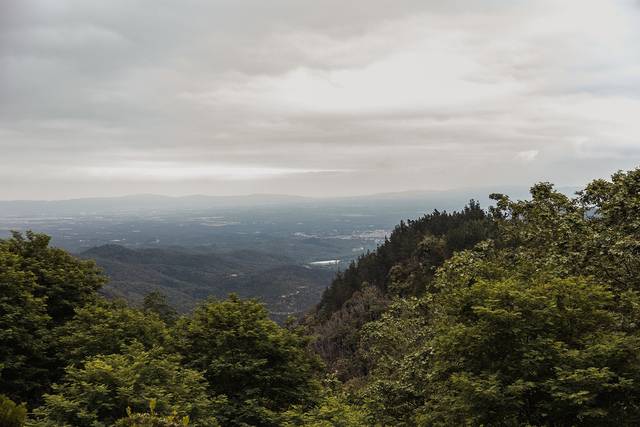 La boda de Paige y Bradley 1