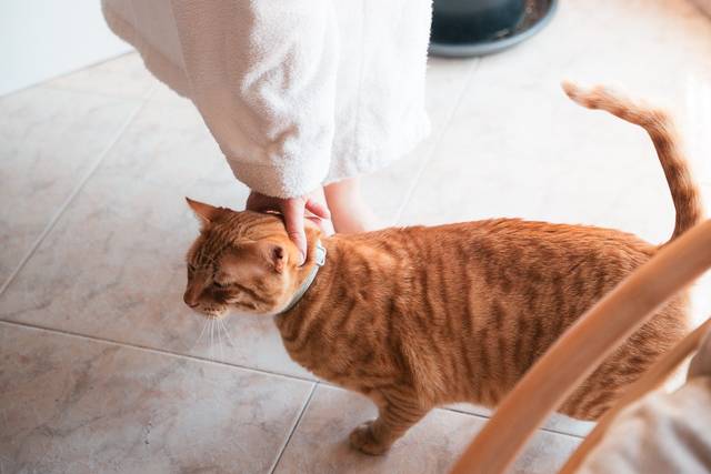 La boda de Gisela y Óscar 2