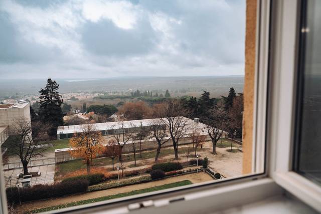 La boda de Sadie y Pablo 2