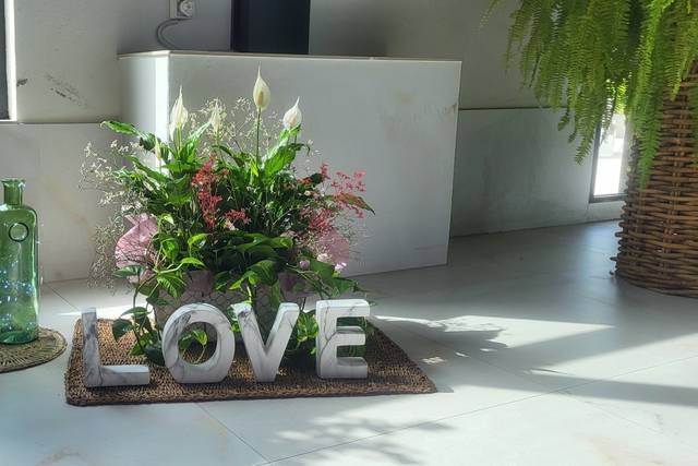 La boda de Juan y Juli 1