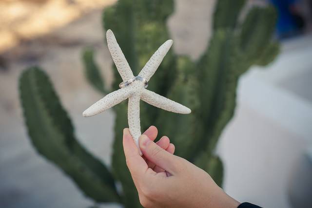 La boda de Carina y Fran 2