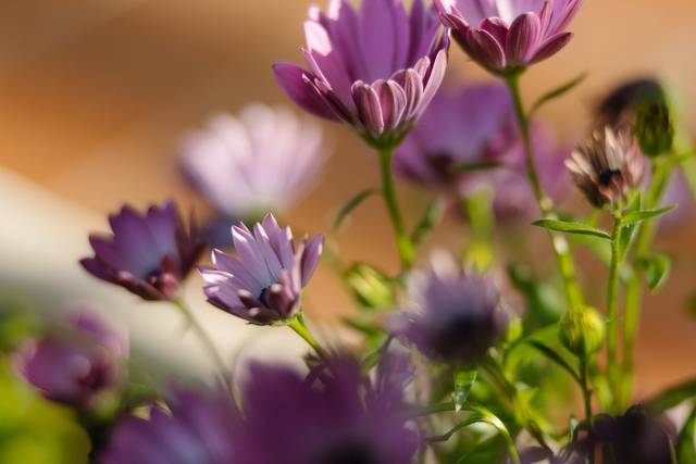 La boda de Arturo y Anabel 3