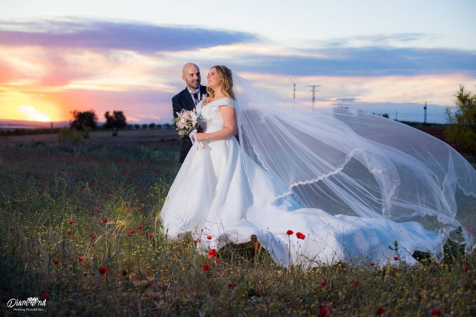 La boda de Lucía y Sergio