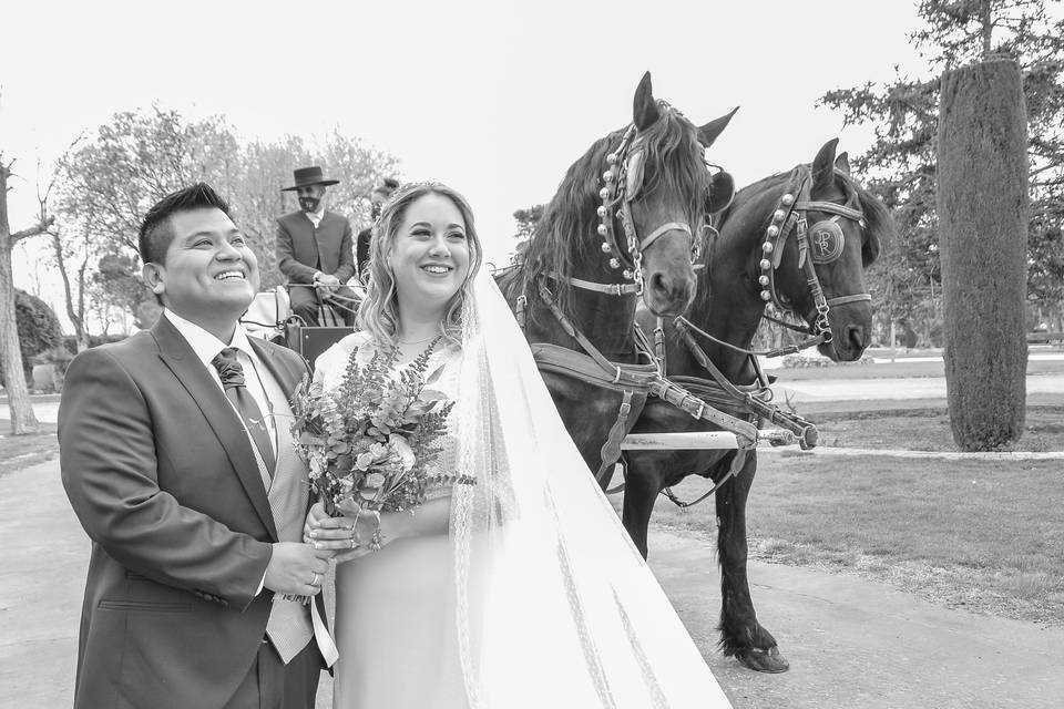La boda de Alexandra y Franco