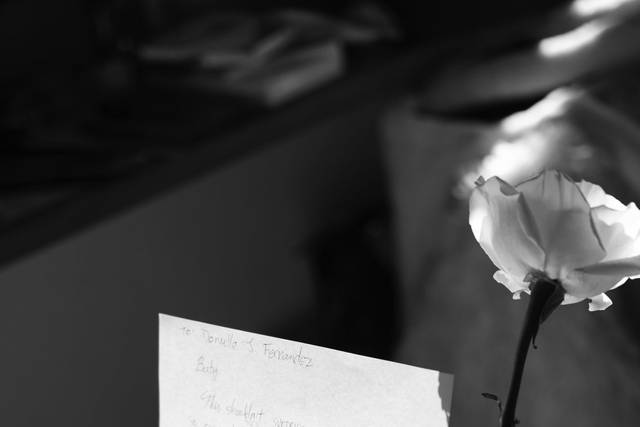 La boda de Donielle y Edwin 2