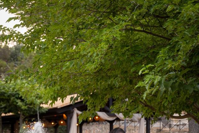 La boda de Andrea  y David  1