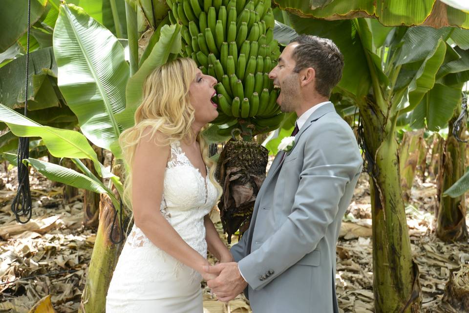 La boda de Adrián y Nora