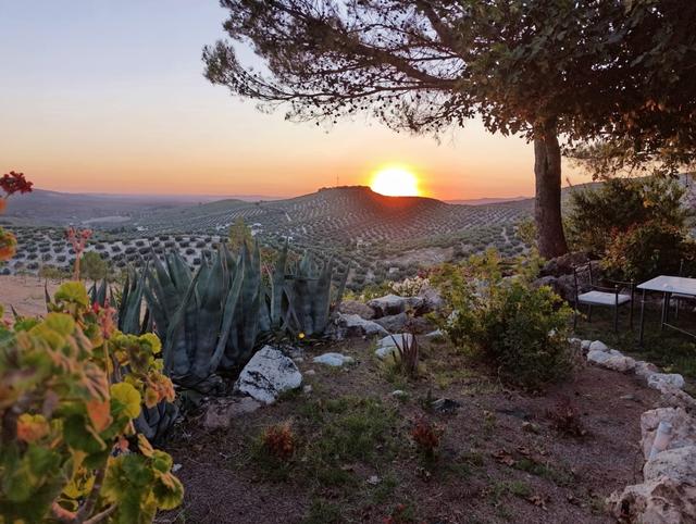 Cortijo Vargas - 3
