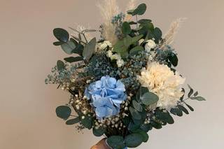 Blomma - 8