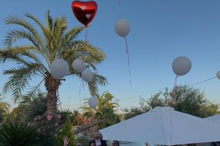 Partyworld - 7