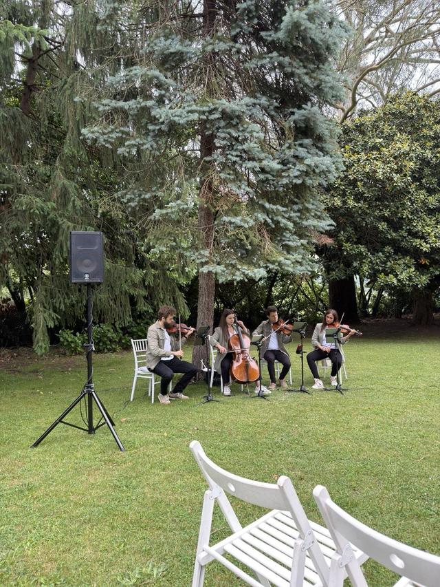 Cuarteto Arpeggio - 2
