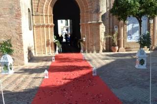 Novias in Love - 19