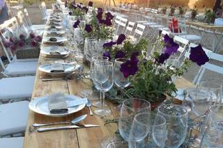 The Wedding Planner Company - 8