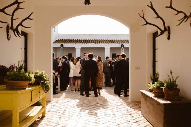 Cortijo Pedro Jiménez - 1