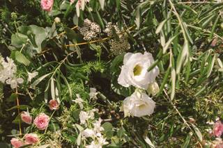 Andaluflor - 5